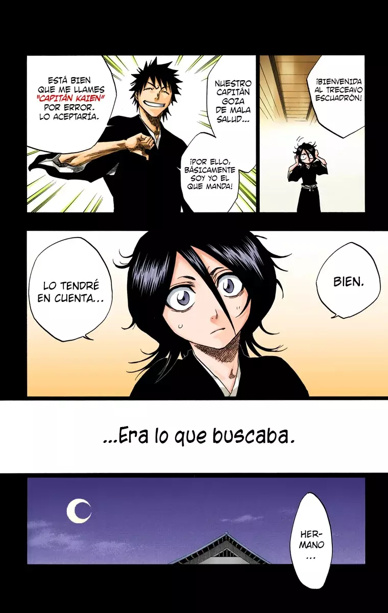 Bleach (Color) capítulo 134, página 11