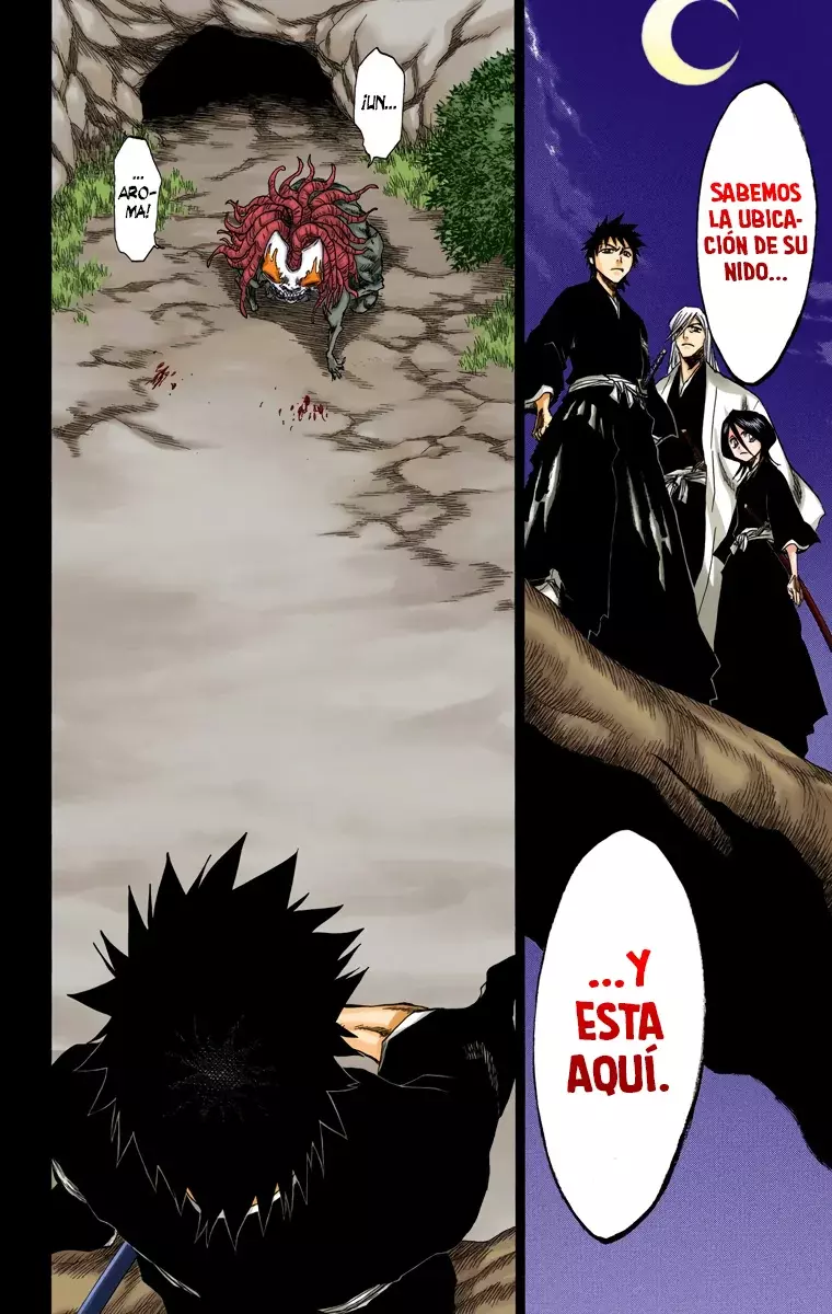 Bleach (Color) capítulo 134, página 19