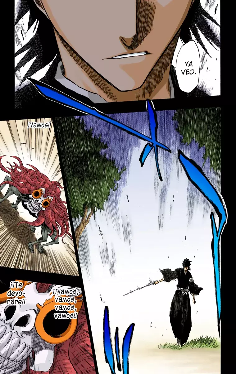 Bleach (Color) capítulo 135, página 8