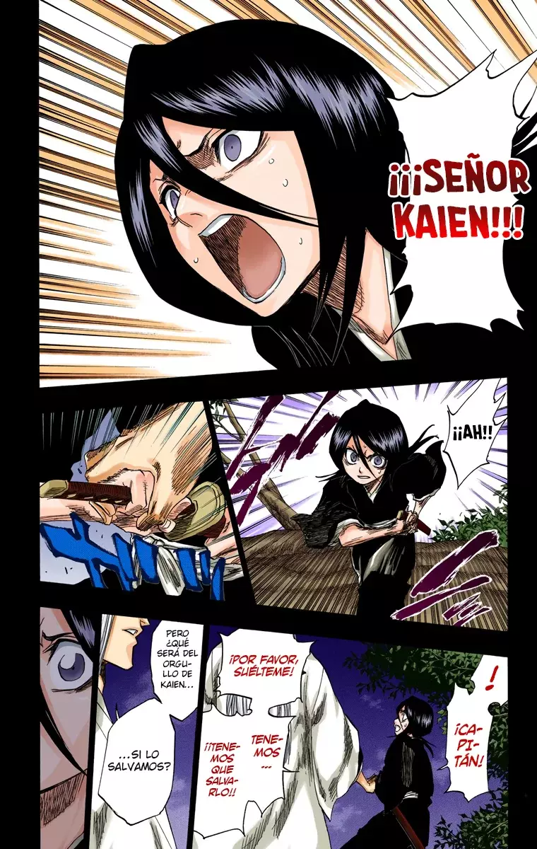 Bleach (Color) capítulo 135, página 13