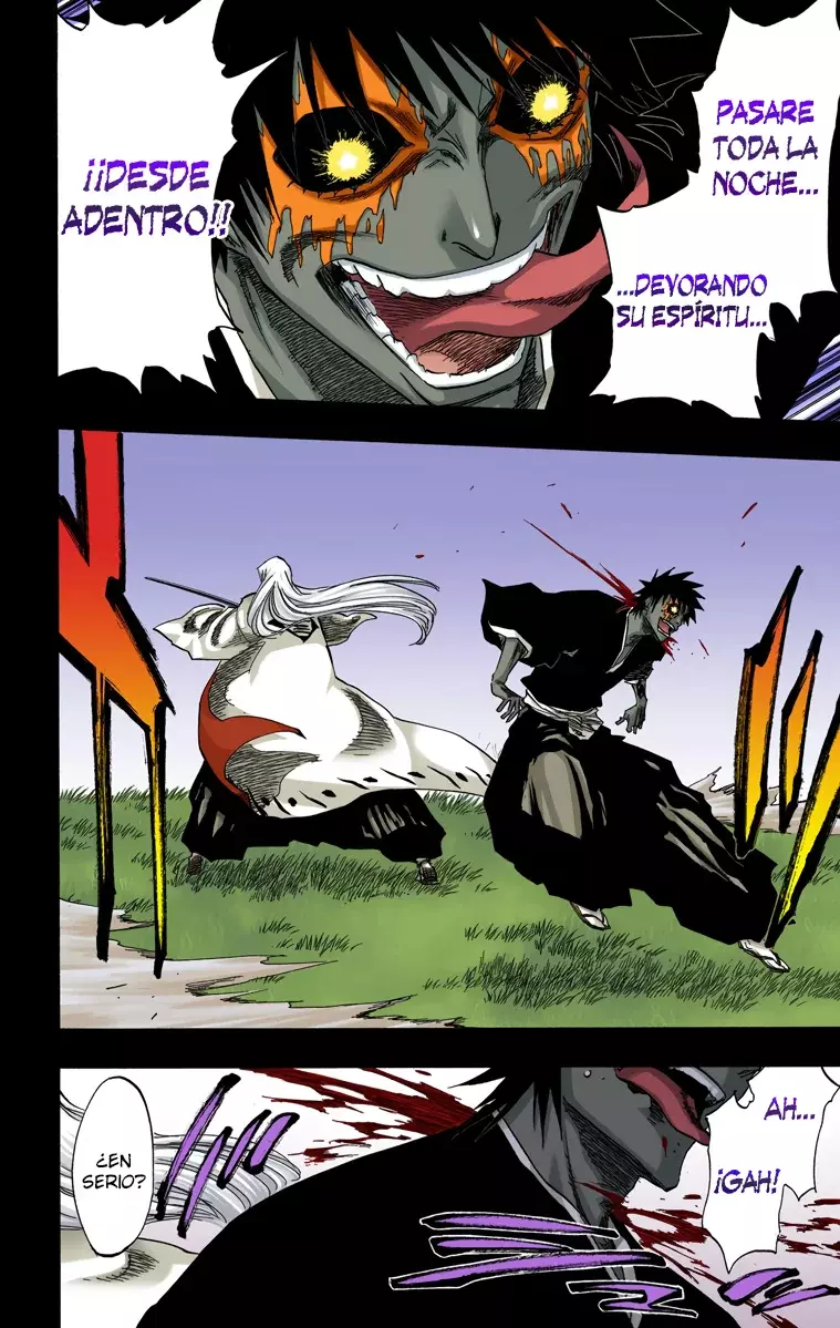 Bleach (Color) capítulo 136, página 9