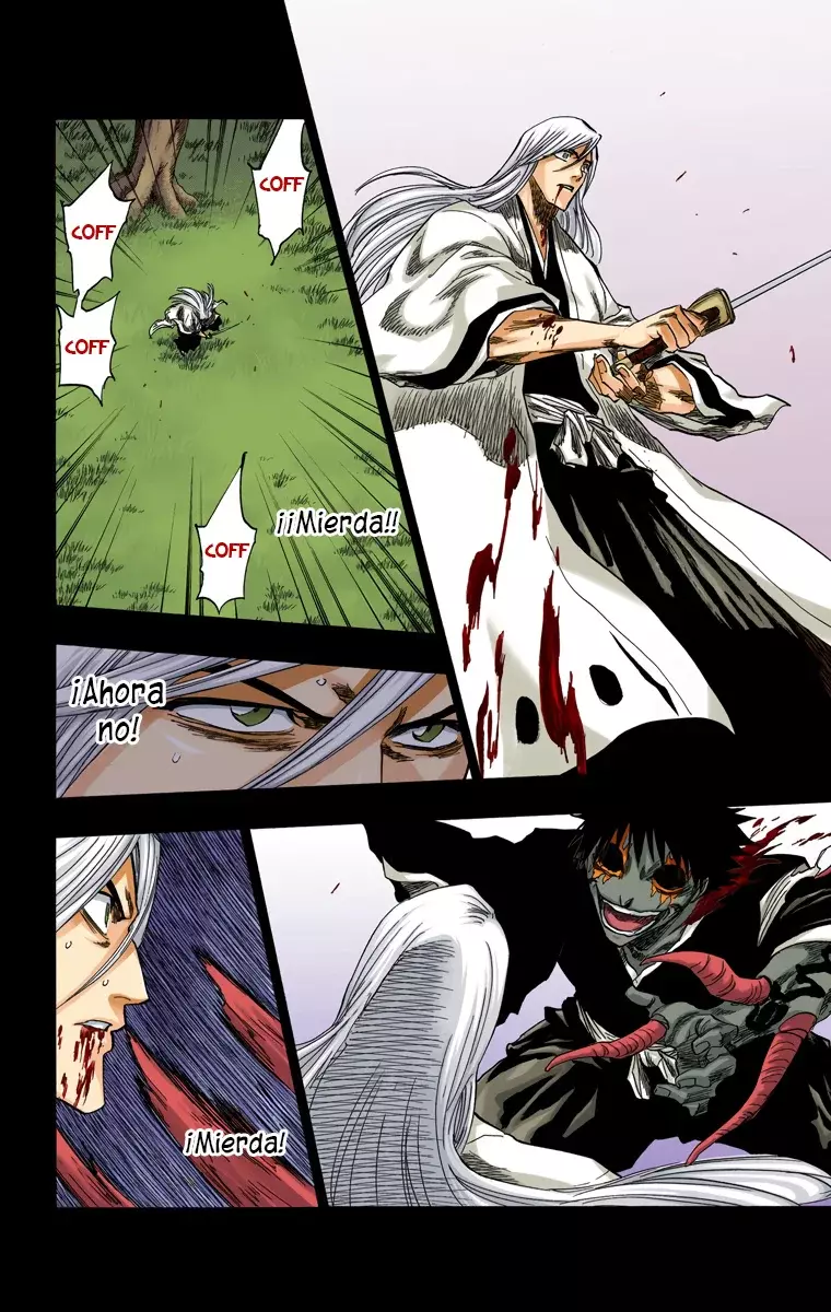 Bleach (Color) capítulo 136, página 11
