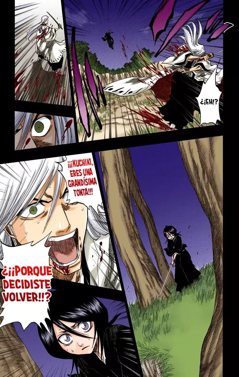 Bleach (Color) capítulo 136, página 12