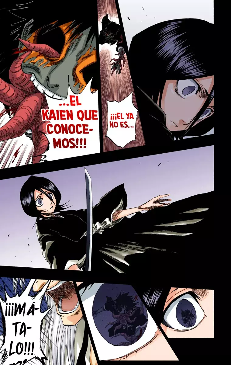 Bleach (Color) capítulo 136, página 14