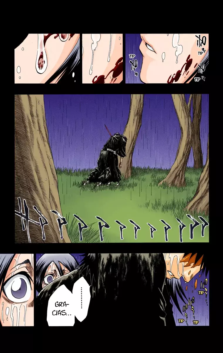 Bleach (Color) capítulo 136, página 16