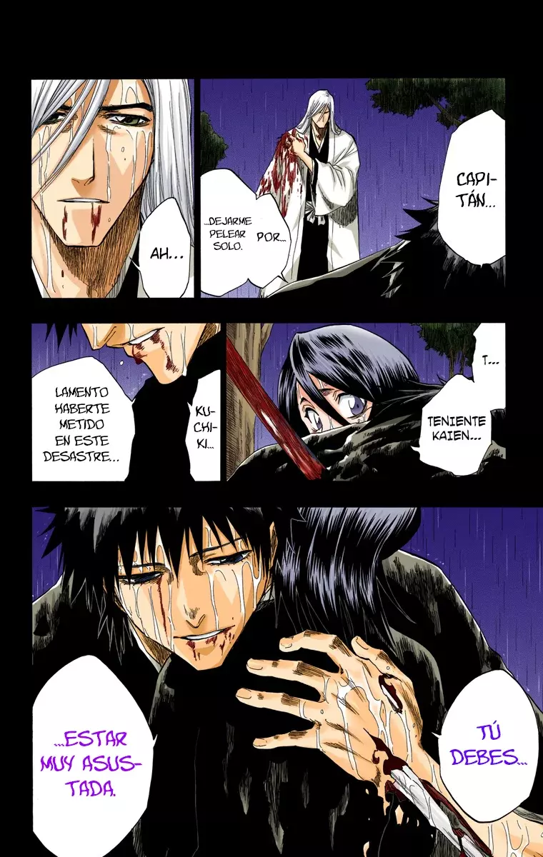 Bleach (Color) capítulo 136, página 17