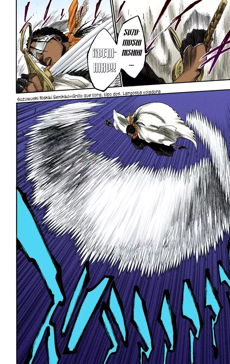 Bleach (Color) capítulo 139, página 15