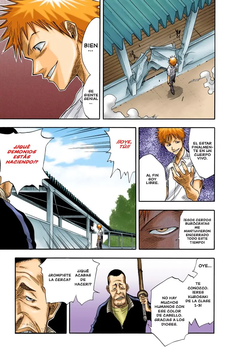 Bleach (Color) capítulo 14, página 5