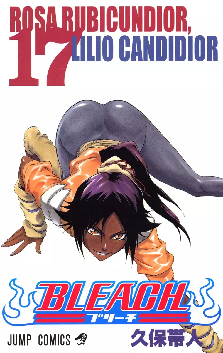Bleach (Color) capítulo 140, página 2