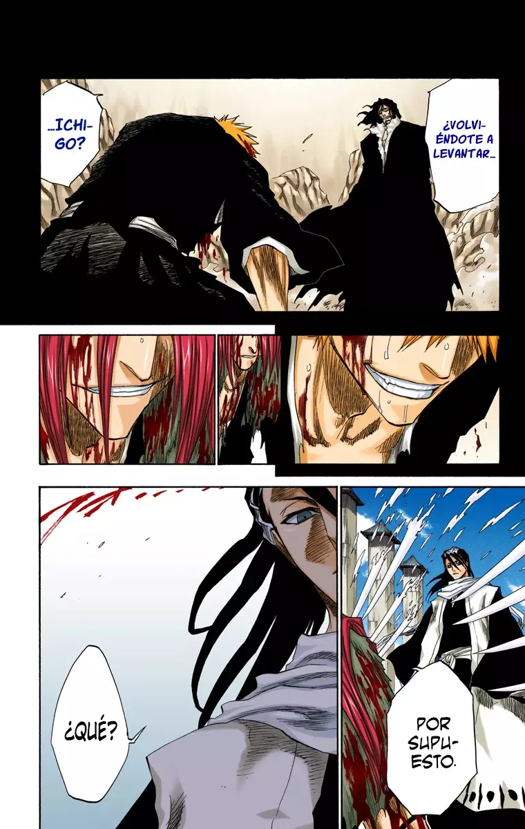 Bleach (Color) capítulo 143, página 17