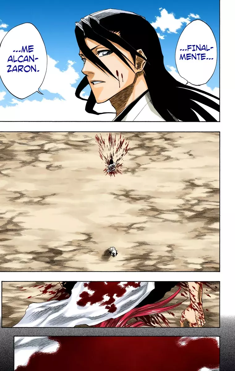 Bleach (Color) capítulo 144, página 14