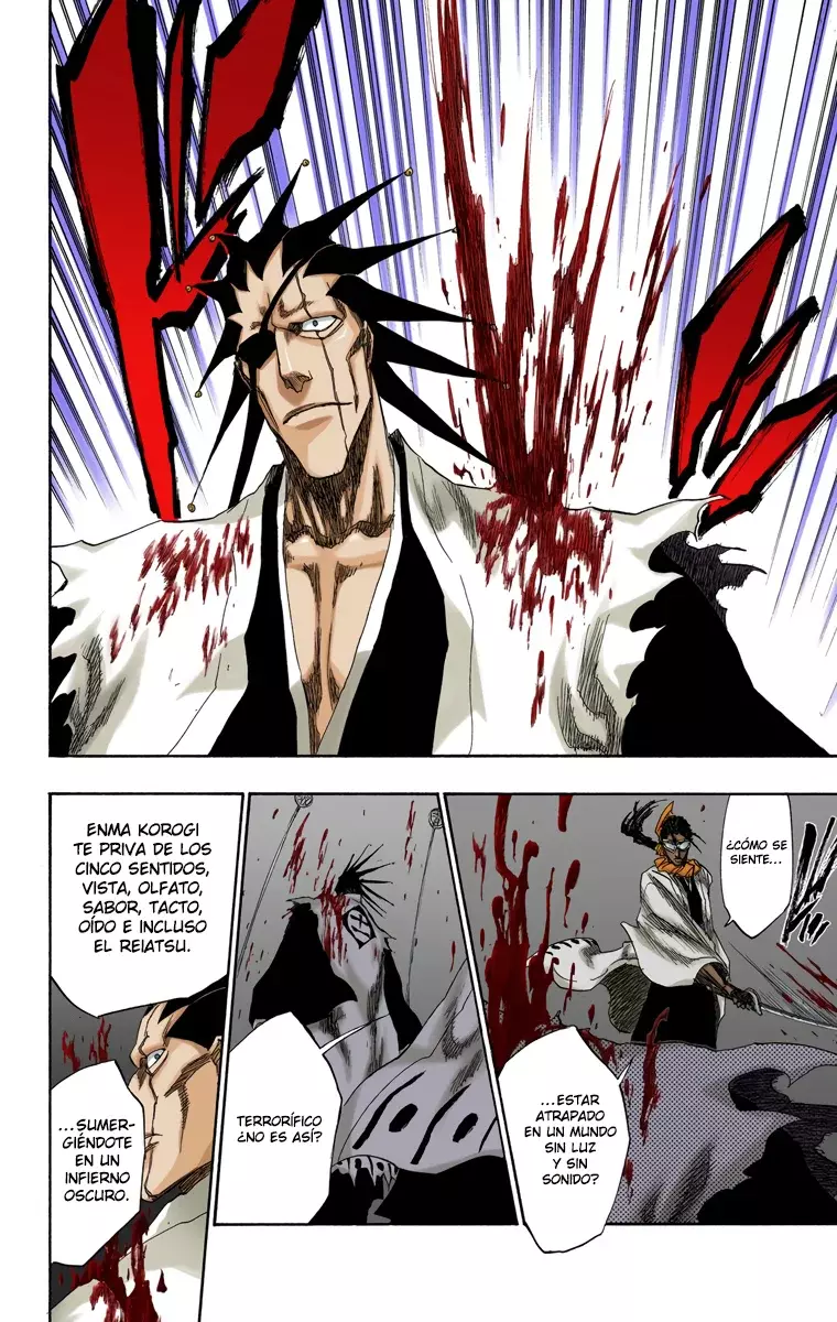 Bleach (Color) capítulo 146, página 14