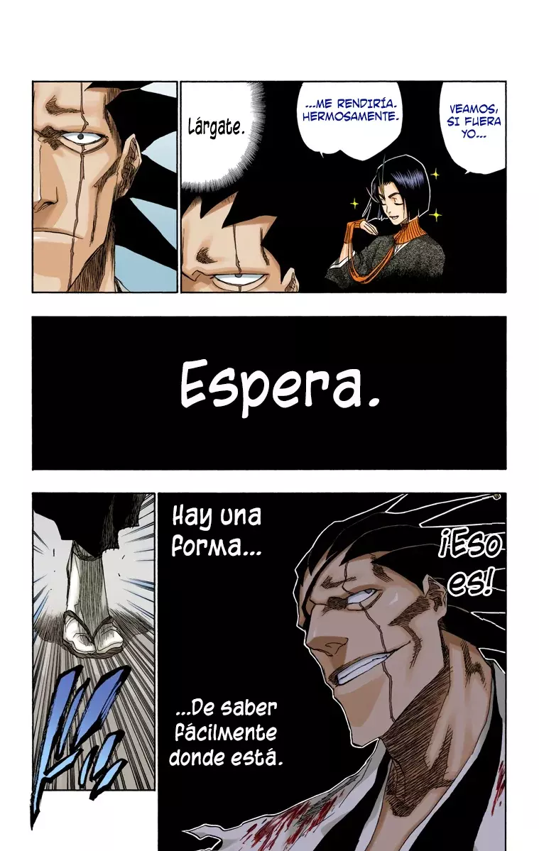 Bleach (Color) capítulo 147, página 16