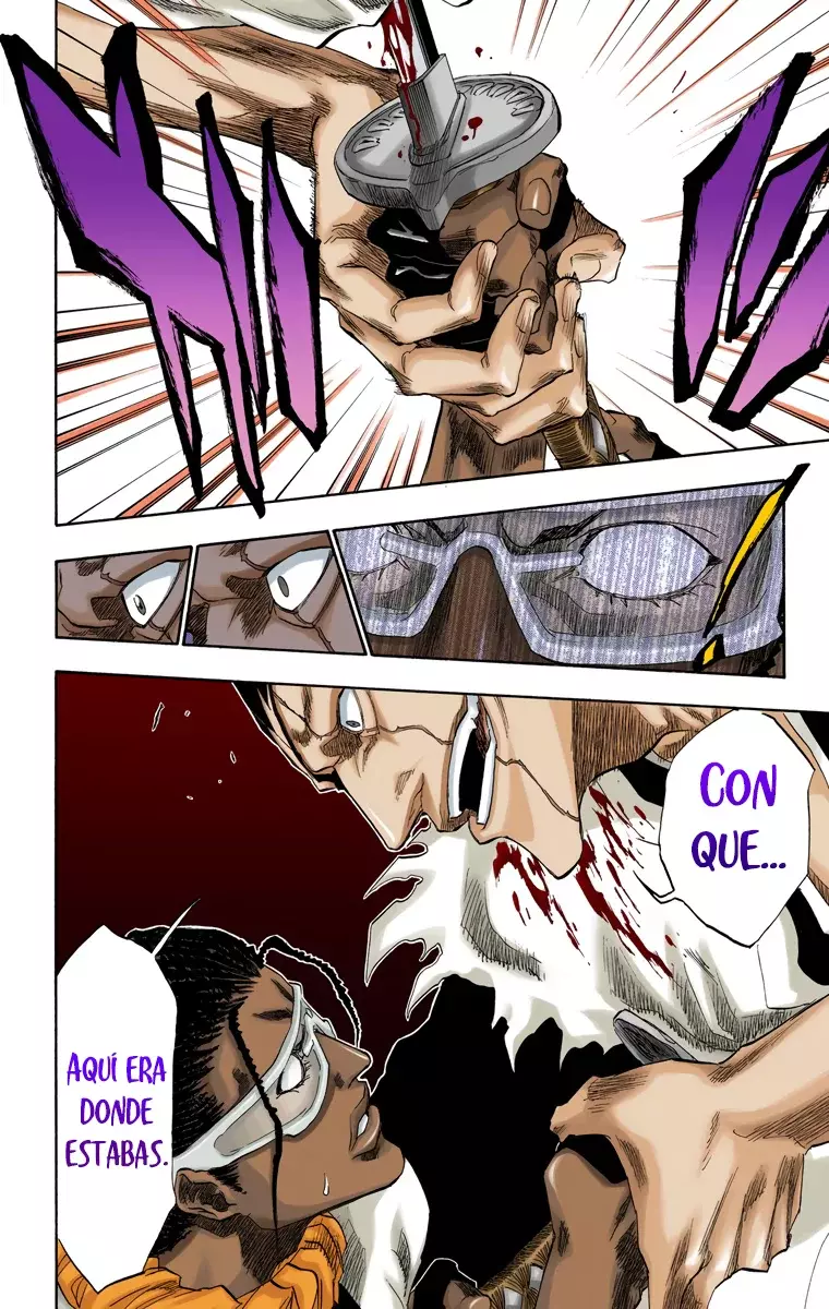 Bleach (Color) capítulo 147, página 19