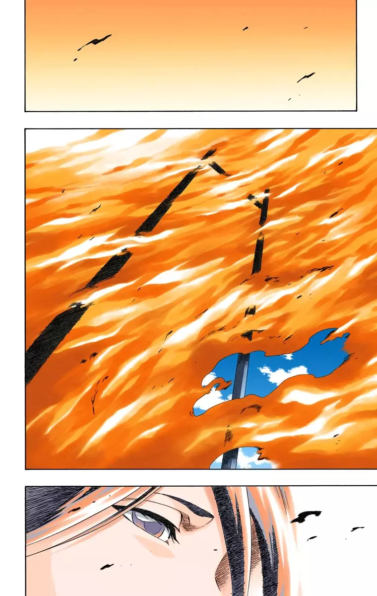 Bleach (Color) capítulo 150, página 25