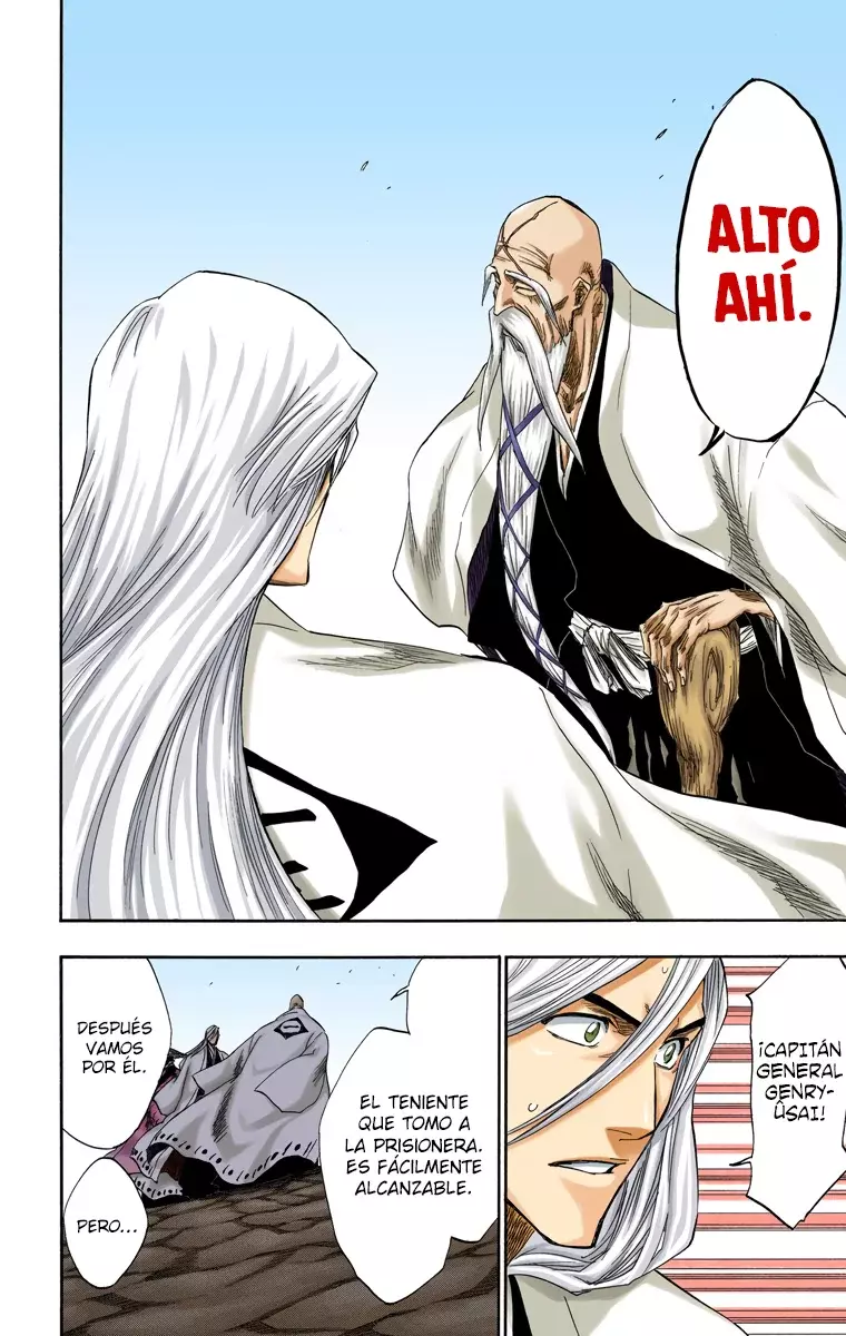 Bleach (Color) capítulo 153, página 13