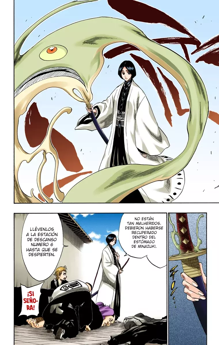 Bleach (Color) capítulo 154, página 5