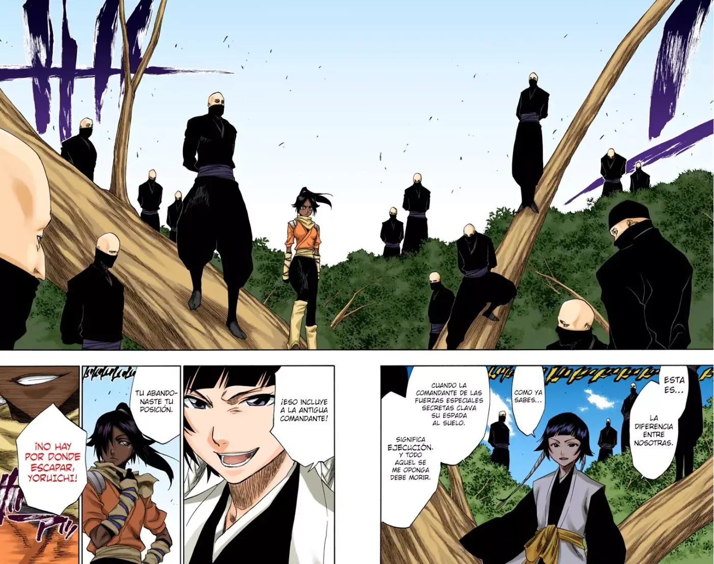 Bleach (Color) capítulo 154, página 13