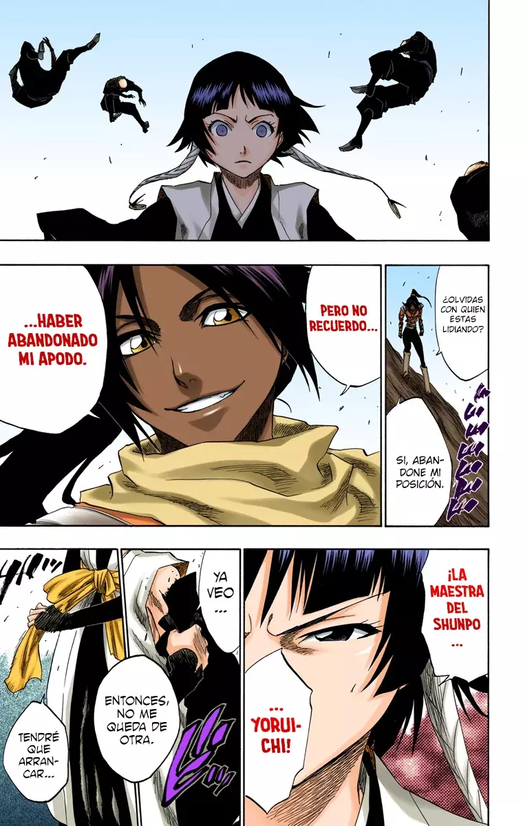 Bleach (Color) capítulo 154, página 15