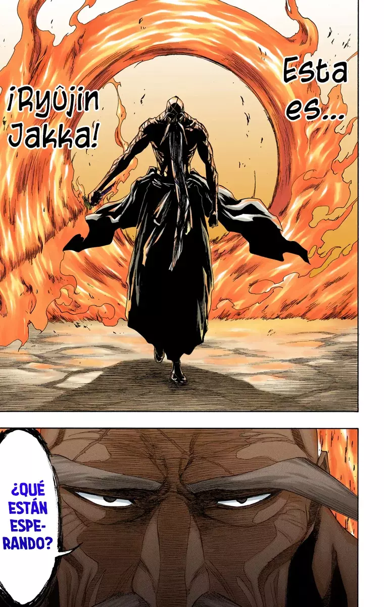 Bleach (Color) capítulo 156, página 9