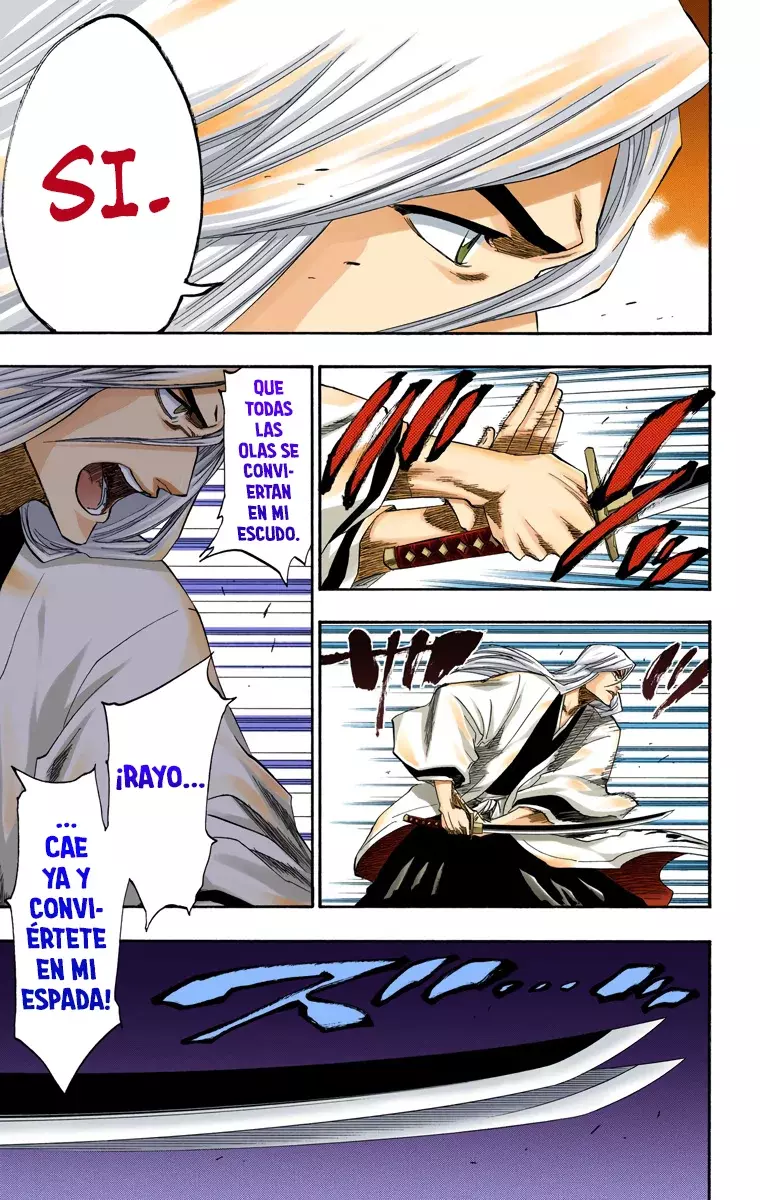 Bleach (Color) capítulo 156, página 11