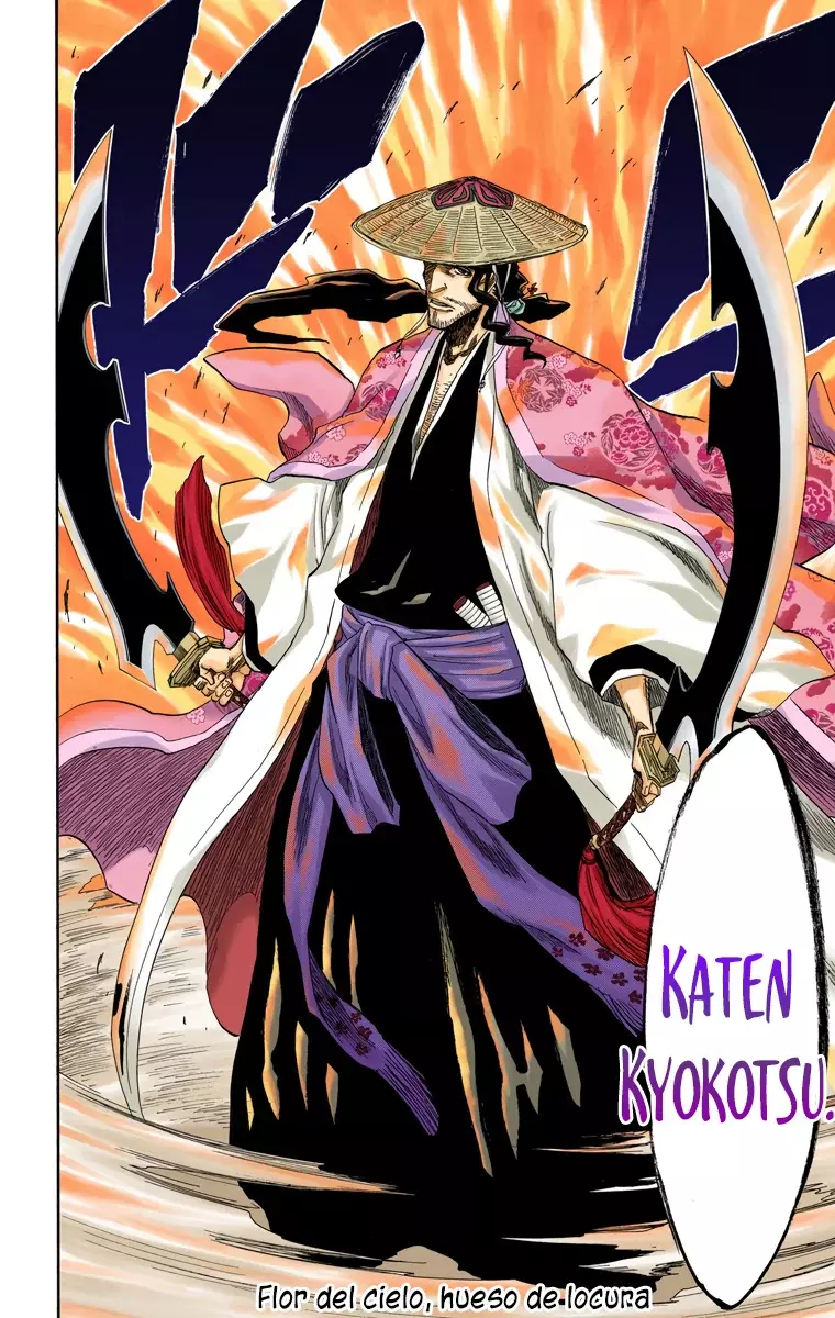 Bleach (Color) capítulo 156, página 14