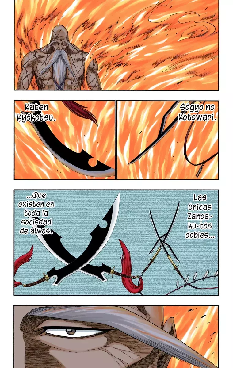 Bleach (Color) capítulo 156, página 15