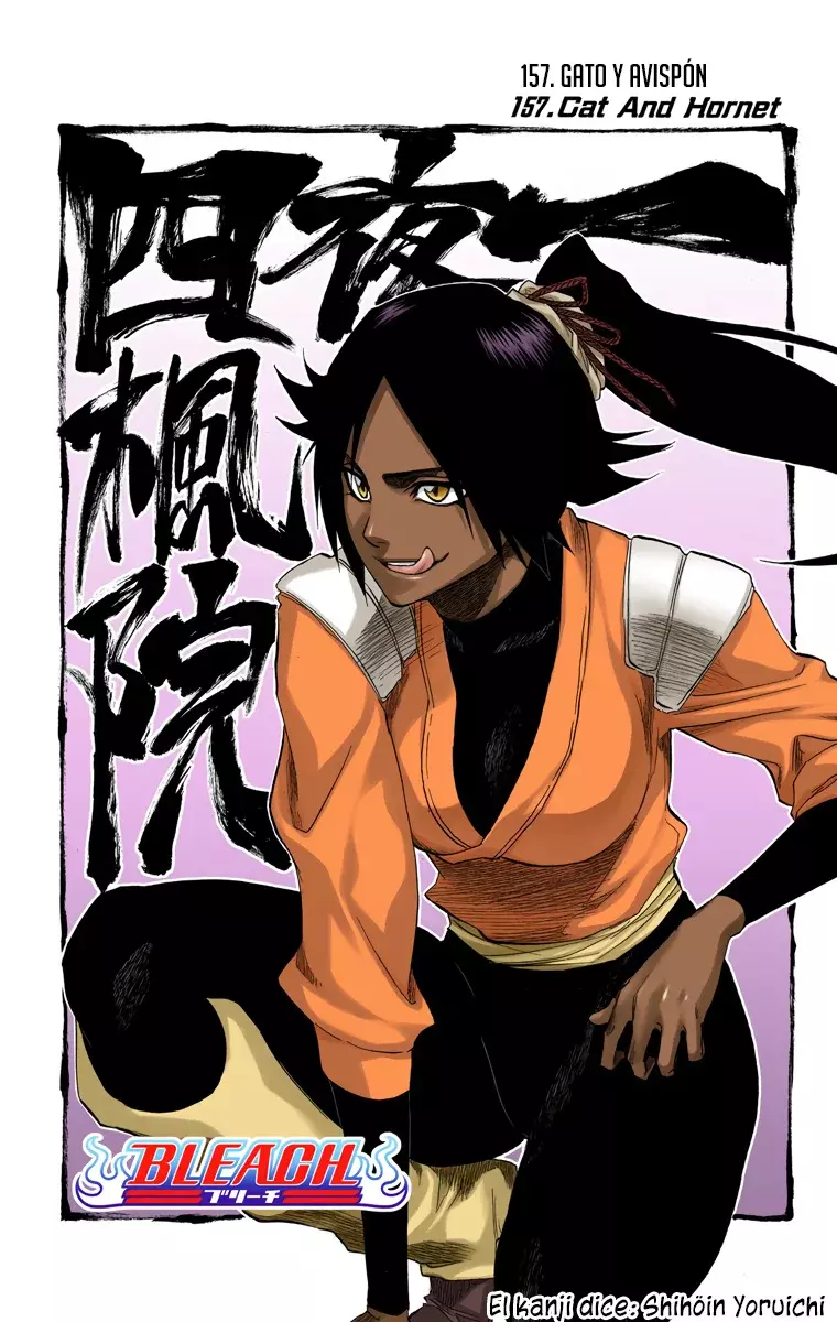 Bleach (Color) capítulo 157, página 7