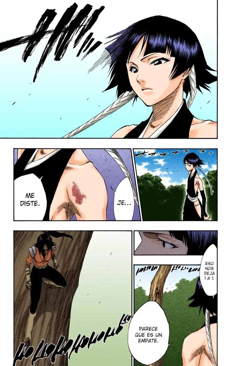 Bleach (Color) capítulo 157, página 14