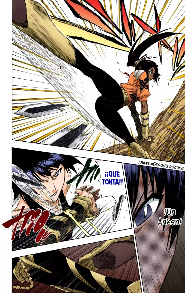 Bleach (Color) capítulo 158, página 9
