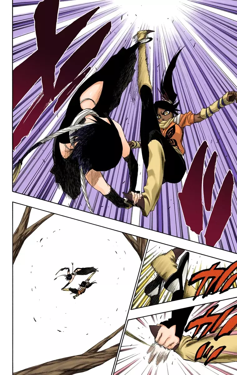 Bleach (Color) capítulo 158, página 11