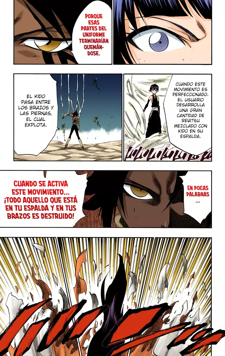 Bleach (Color) capítulo 158, página 16
