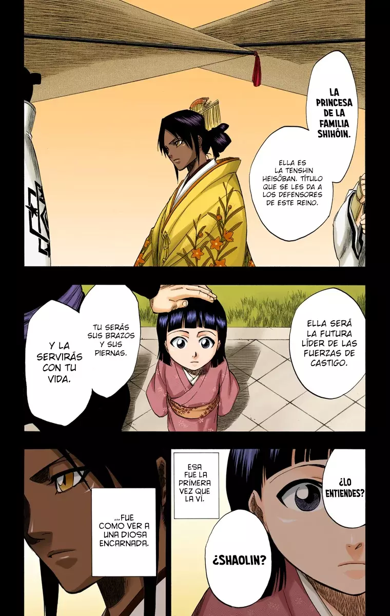 Bleach (Color) capítulo 159, página 11