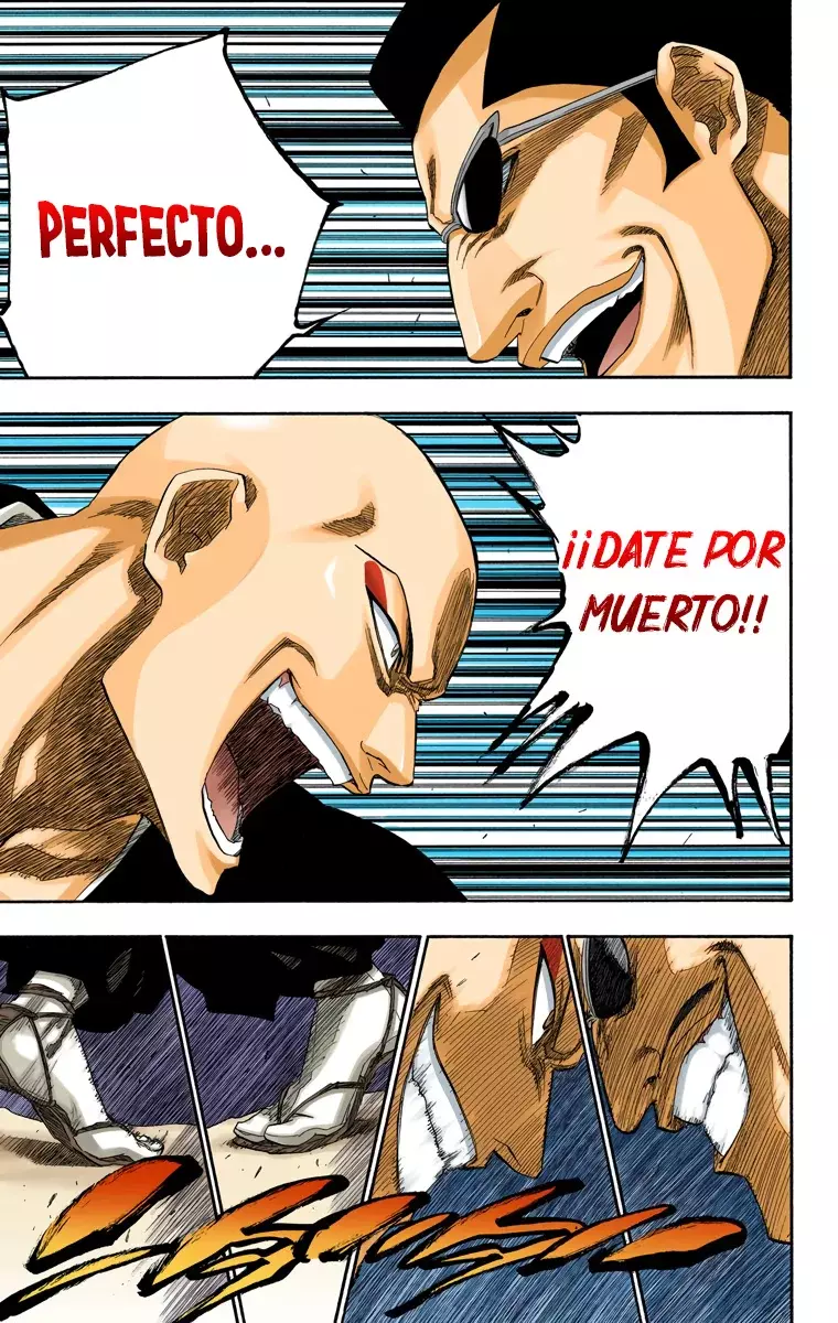 Bleach (Color) capítulo 160, página 8