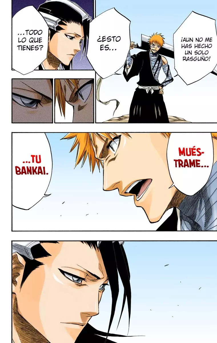 Bleach (Color) capítulo 160, página 13