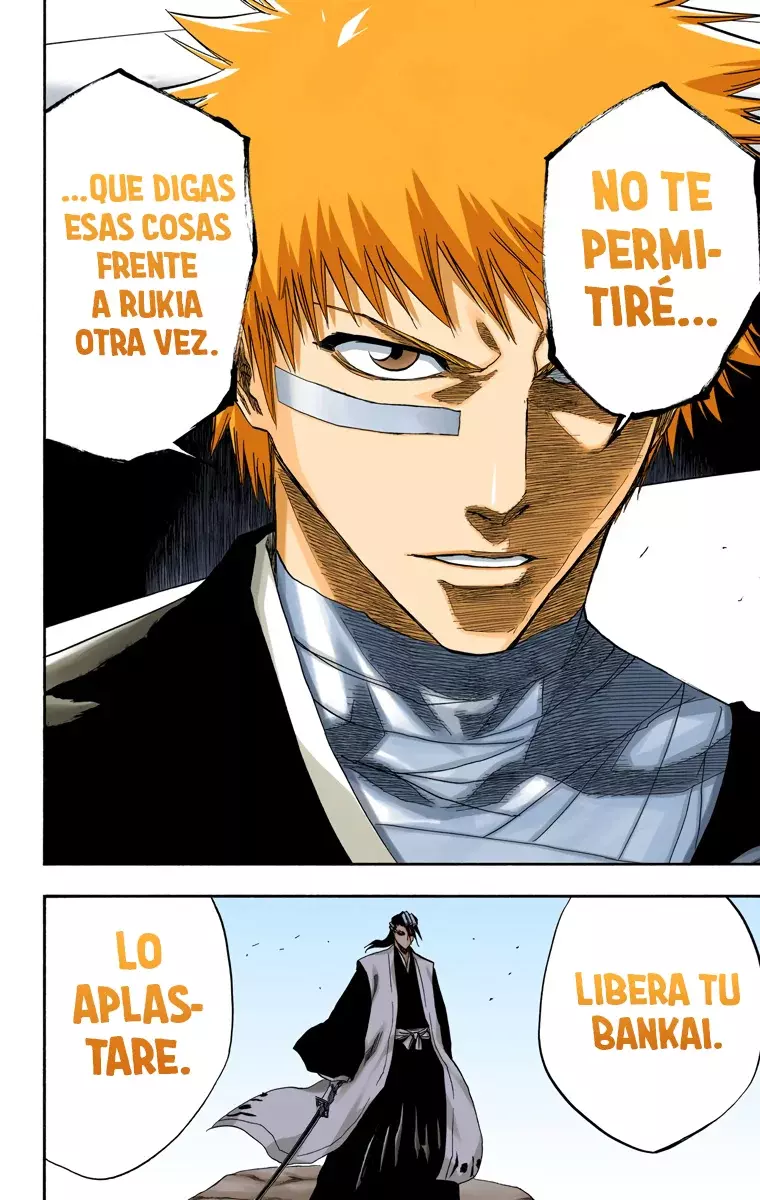 Bleach (Color) capítulo 160, página 15