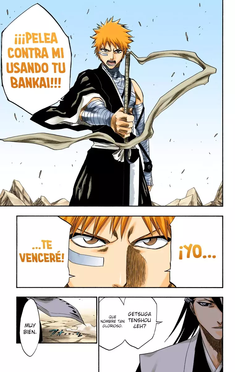 Bleach (Color) capítulo 161, página 10
