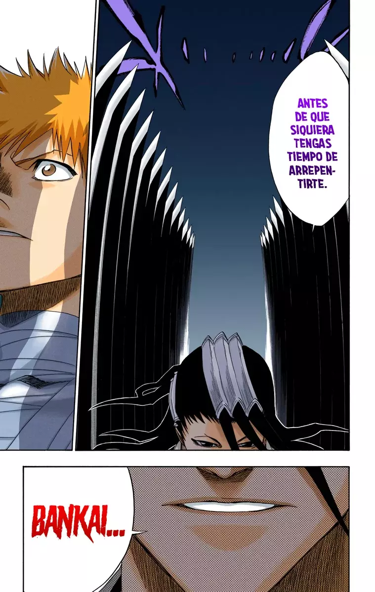 Bleach (Color) capítulo 161, página 12