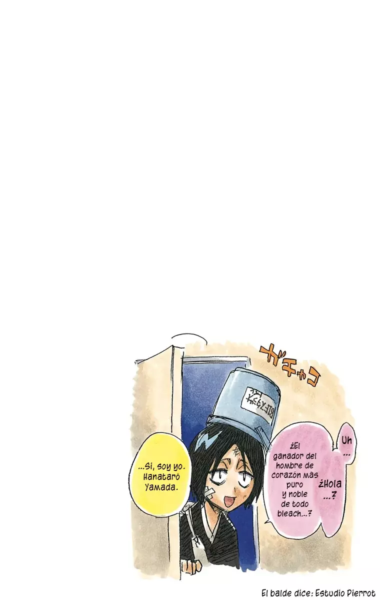 Bleach (Color) capítulo 162, página 18