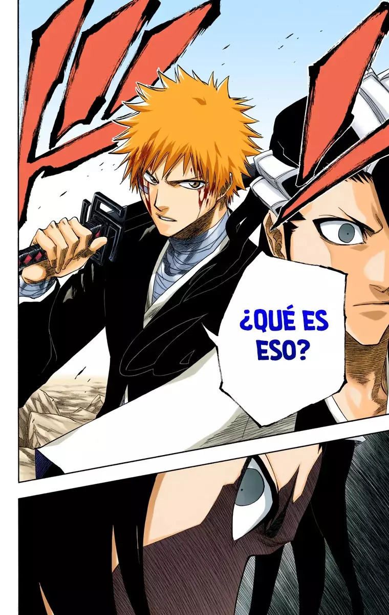 Bleach (Color) capítulo 163, página 17