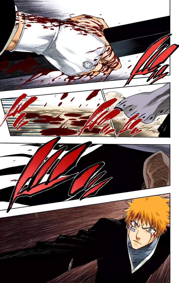 Bleach (Color) capítulo 164, página 8