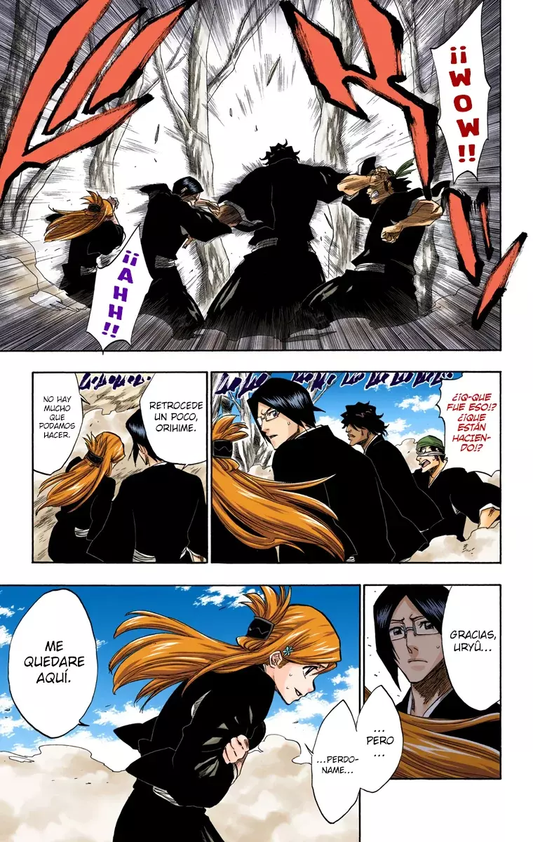 Bleach (Color) capítulo 164, página 17