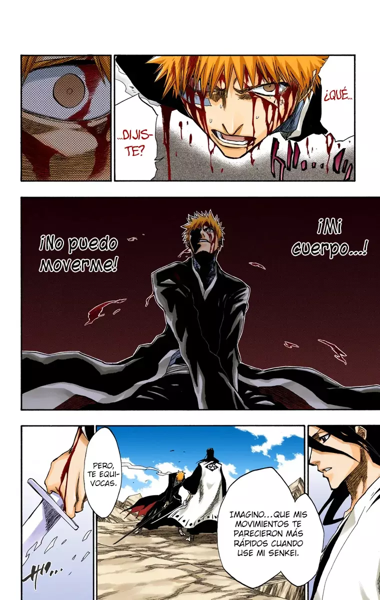 Bleach (Color) capítulo 165, página 14