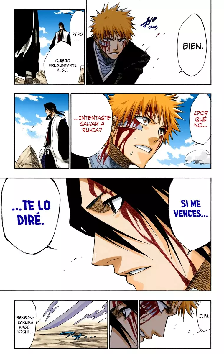 Bleach (Color) capítulo 166, página 16