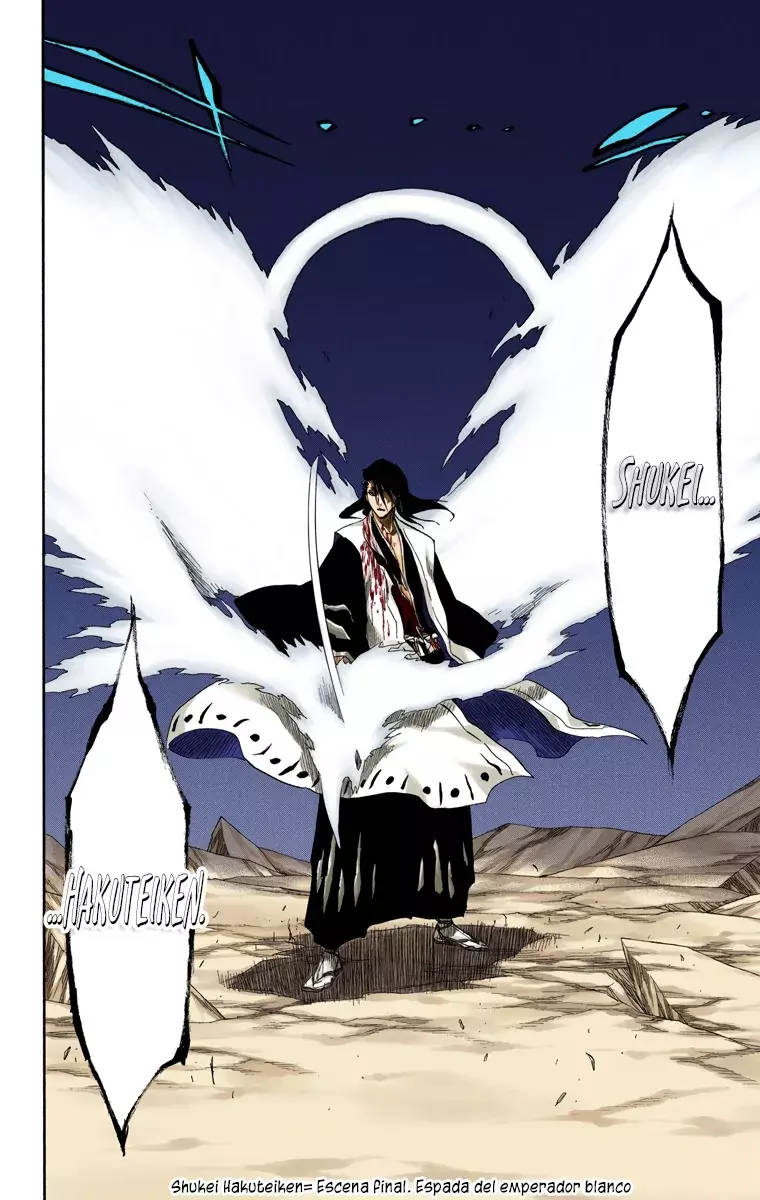 Bleach (Color) capítulo 166, página 17