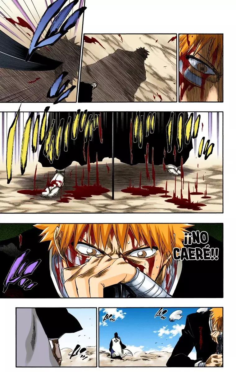 Bleach (Color) capítulo 167, página 5