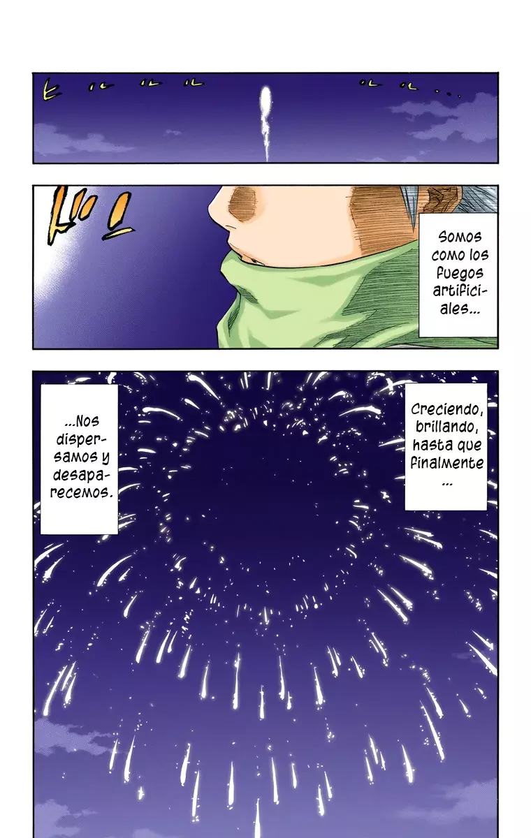 Bleach (Color) capítulo 168.5, página 11