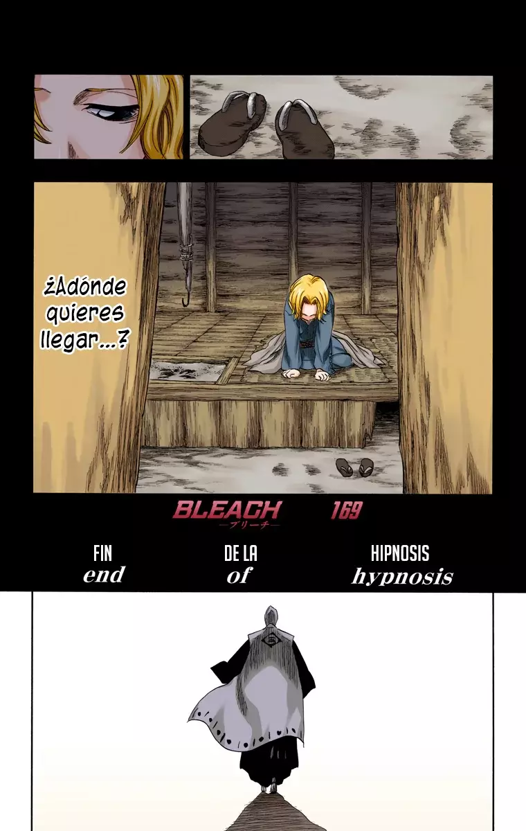 Bleach (Color) capítulo 169, página 8