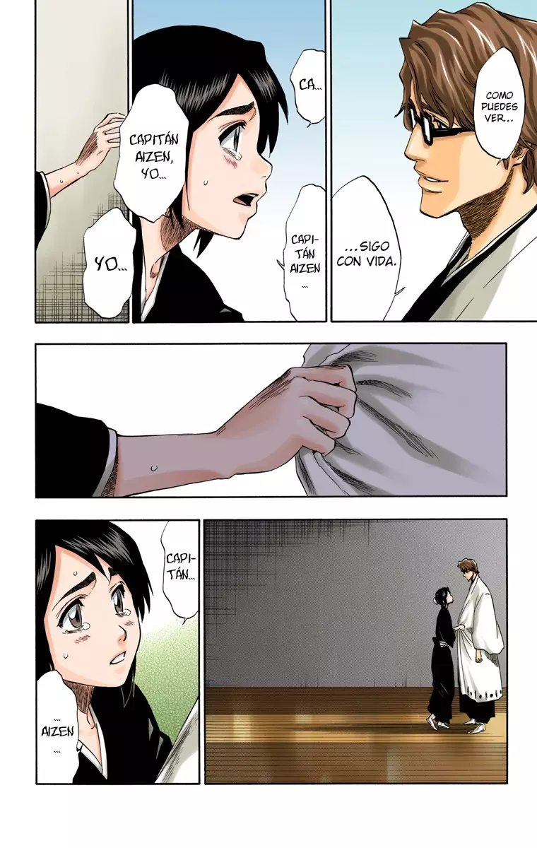 Bleach (Color) capítulo 169, página 13