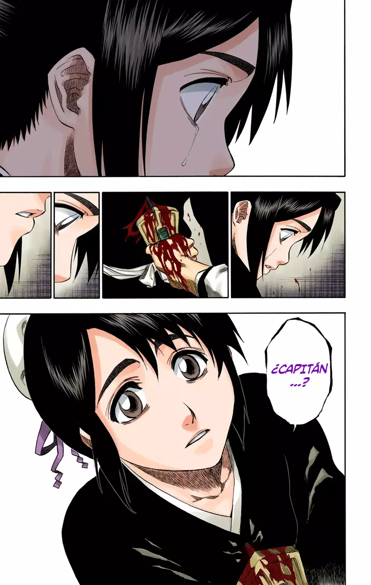 Bleach (Color) capítulo 169, página 18